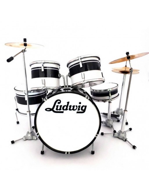 Specifiek verkoper Duplicaat Ludwig zwart wit drumstel
