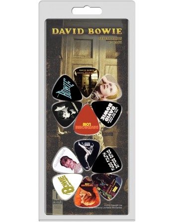 David Bowie 12-pack Medium...