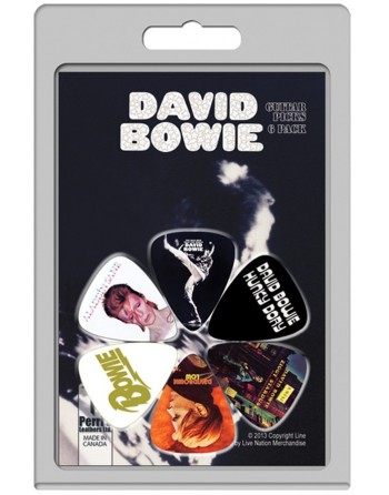 David Bowie 6-pack Medium...
